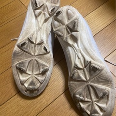 ミズノ　ライトレボバディー27.0の画像