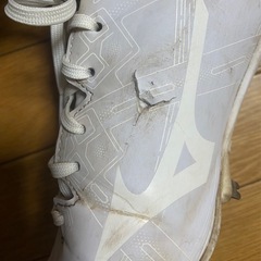 ミズノ　ライトレボバディー27.0の画像