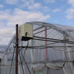 ビニールハウス３連棟の画像