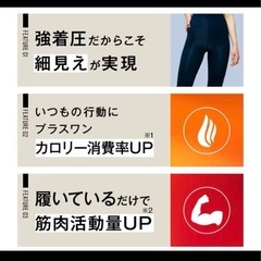 BELMISE スリムレギンス アンティークグレーの画像