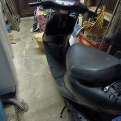 原付ライブディオの画像