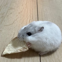 お友達募集♡