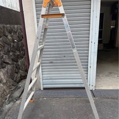 脚立180cm