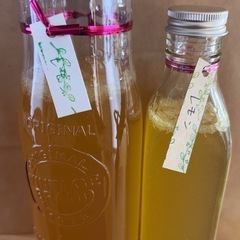 ミネラル酵素ドリンク