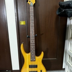 Epiphone EMBASSY StandardⅣ