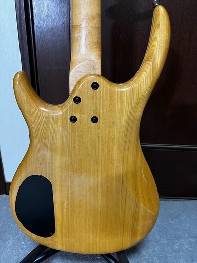 Epiphone EMBASSY StandardⅣ