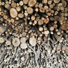 【残りわずか】薪B級品　軽トラ一台分　在庫処分セール 