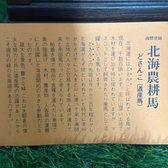 プライスダウン！！北海農耕馬 どさんこ（道産馬）ガラスショーケース入り！札幌市内配達無料！！の画像