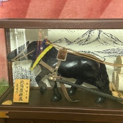 プライスダウン！！北海農耕馬 どさんこ（道産馬）ガラスショーケース入り！札幌市内配達無料！！の画像