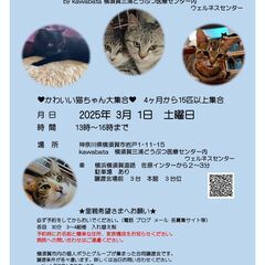 3/1 横須賀　合同譲渡会