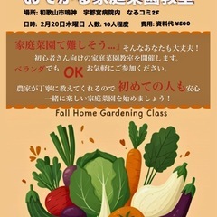 家庭菜園