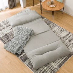 ソファベッドの画像