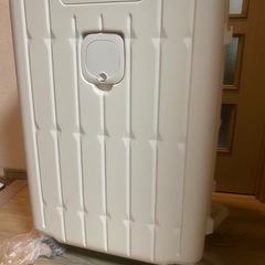 ソテツ蘇轍大型約130cm