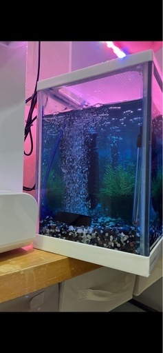 nori　様　水槽セット