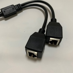LANケーブル　2台用の画像