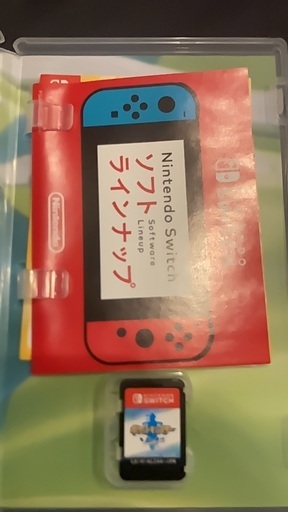 任天堂ゲームソフト三点セット Nintendo Switch ゲームソフト3本セット