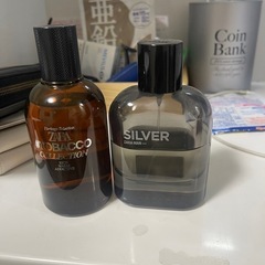zara 湖水