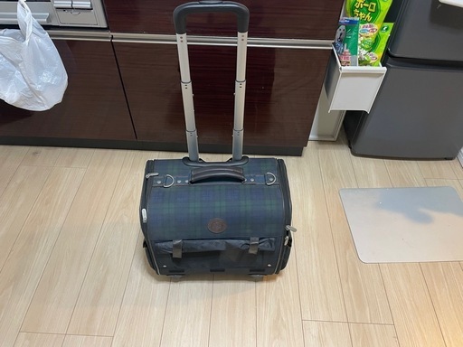 ペット用キャリーケース（美品）