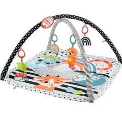 フィッシャープライス(fisher price) 感覚を育てよう...