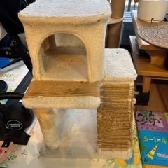 catターウオ