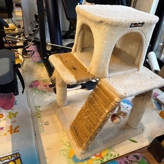 catターウオの画像