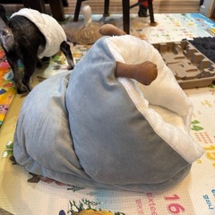 赤ちゃんペットテントの画像