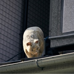 【女性企画・主催】2/24猫好き必見！谷中で七福猫を探そう - メンバー募集