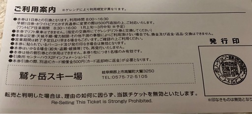 高鷲スノーパーク ダイナランド 共通1日リフト券 4枚 【公式通販