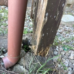 柱の補修