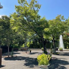 3/6(金)風と自然を感じるカフェ会＠花畑園芸公園 - 福岡市