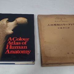 『希少価値』（医学専門画像集）人体解剖カラーアトラス 19…