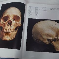 『希少価値』（医学専門画像集）人体解剖カラーアトラス 1979年発行の画像