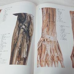 『希少価値』（医学専門画像集）人体解剖カラーアトラス 1979年発行の画像