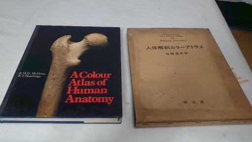 『希少価値』（医学専門画像集）人体解剖カラーアトラス 1979年発行