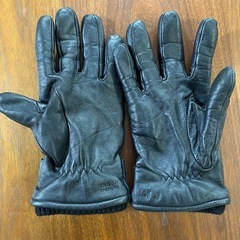 タケオキクチ　グローブの画像