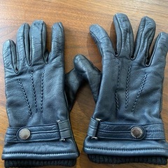 タケオキクチ　グローブ