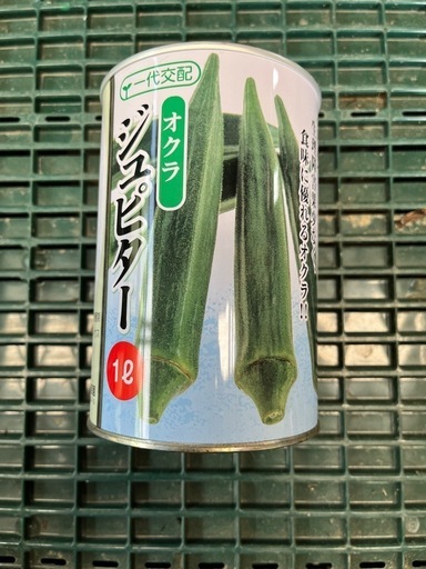 オクラ　種　ジュピター