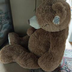 くまのぬいぐるみの画像