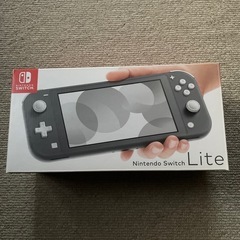 Switchライト本体