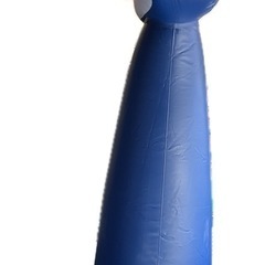 INTEX(インテックス) バスケットゴール 
の画像