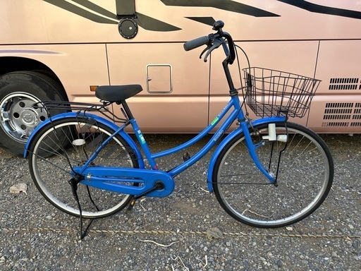 ブリヂストン ECOPAL 22インチ 25】子供用自転車 子供車 ブリヂストン