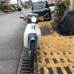カブ
の画像