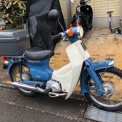 カブ
の画像