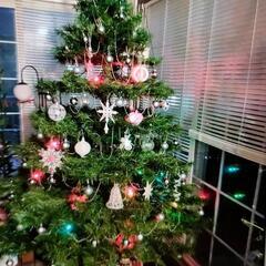 クリスマスツリー（季節外れですが）の画像