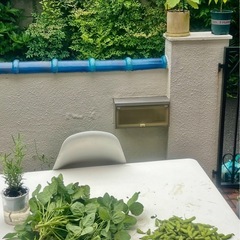 白いテーブル(屋外用)の画像