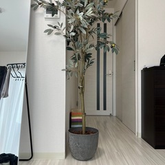 人工観葉植物　オリーブの木