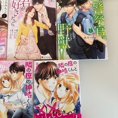 ＴＬコミック8冊まとめての画像
