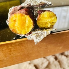 🍠サツマイモ🍠芋🍠唐芋🍠 の画像