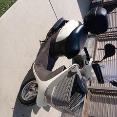 取手市発　レッツバスケット現行型の画像