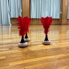 【中野でインディアカ】ニュースポーツのメンバー募集